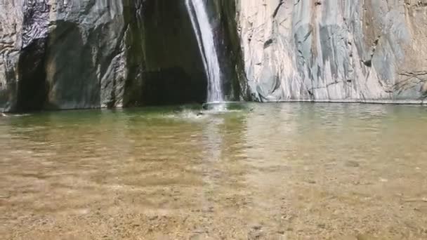 Молодой доминиканец плавает в прозрачной воде против сильного водопада — стоковое видео