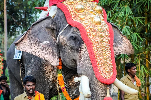 Kottayam Kerala India Januari 2012 Indianen Leiden Gedecoreerde Olifanten Wandelen — Stockfoto