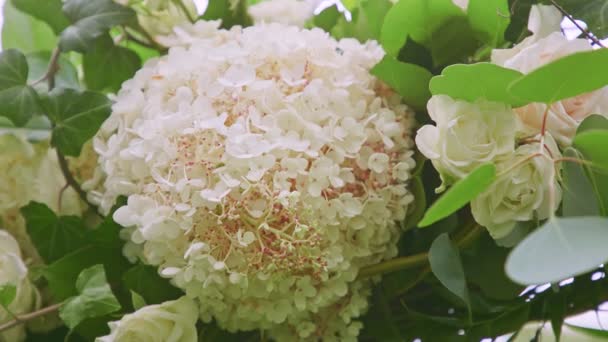 Lentamente panorama a la izquierda en la decoración de la boda hecha de flores blancas y rosas — Vídeo de stock