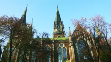 güvercinler Ukrayna, Lviv 'deki sonbahar parkı olan eski katolik katedralin üzerinde uçarlar.