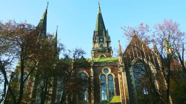 Lviv 'deki St. Olga ve Elizabeth Katolik Katedrali' nin panoramik manzarası — Stok video
