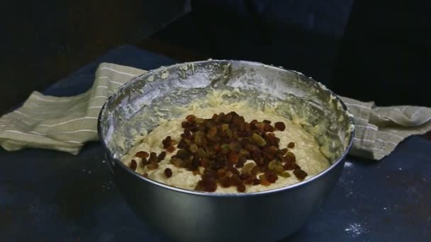 Slow motion closeup woman hands ready to mix raisins with soft dough in metal bowl — Stock Video