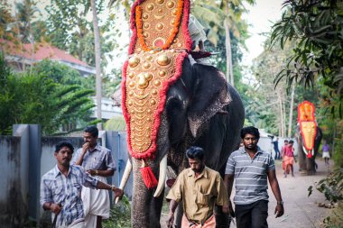 Hint halkı, her yıl düzenlenen festivalde Hint köyünün önünden geçen süslü fillere liderlik ediyor.