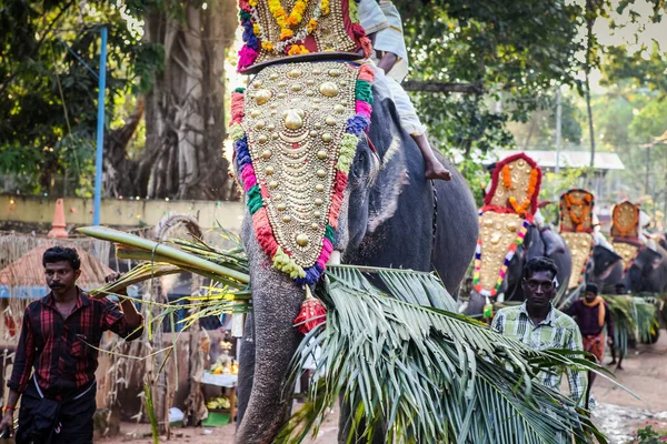 Ινδοί άνθρωποι οδηγούν διακοσμημένους ελέφαντες περπατώντας από το ινδικό χωριό στο ετήσιο φεστιβάλ — Φωτογραφία Αρχείου