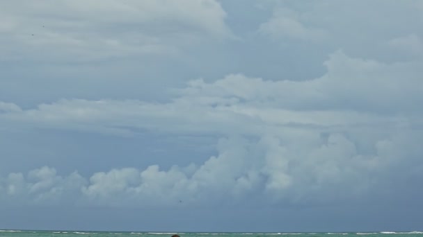 Vue panoramique sur le paysage de grands nuages blancs pelucheux flottent au-dessus de l'océan bleu calme — Video
