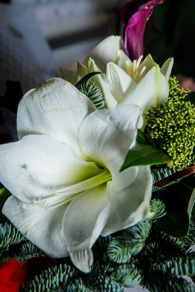 Макро Вид Эксклюзивного Подарочного Букета Белой Кремовой Лилии Фиолетовых Цветов — стоковое фото
