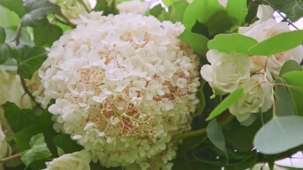 Primer plano de la izquierda en la decoración de la boda hecha de flores blancas y rosas — Vídeos de Stock