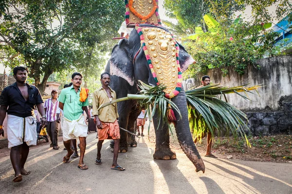 Kottayam Kerala India January 2012 Indian People Lead Decorated Elephants — Stock Photo, Image