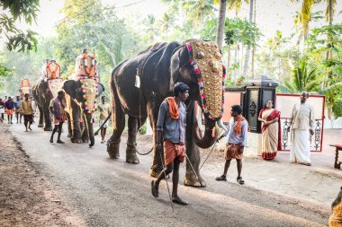 Kottayam, Kerala, INDIA - 25 Ocak 2012: Hintli insanlar 25 Ocak 'ta Kottayam' da düzenlenen festivalde köy köy gezen birçok madalyalı file liderlik ediyorlar.