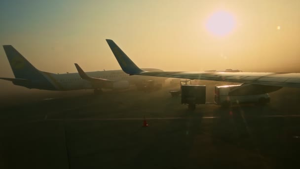 밝은 태양을 배경으로 두 대 의대형 비행기 실루엣이 있는 비행기 창문에서 바라본 광경 — 비디오