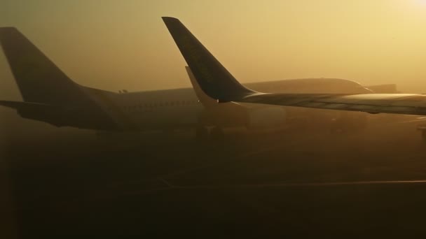 밝은 태양을 배경으로 두 대 의대형 비행기 실루엣에 초점을 맞추고 있는 모습 — 비디오
