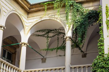 Ukrayna 'nın Lviv şehrinin tarihi çeyreğindeki İtalyan bahçesinde yeşil lianalı boş beyaz eski balkon manzarası