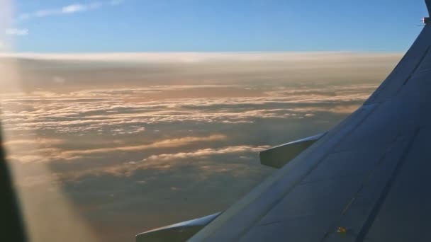 Widok z lotu ptaka z okna samolotu na stalowe skrzydło latać nad puszyste białe chmury o zachodzie słońca — Wideo stockowe