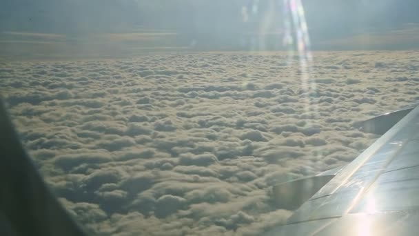 Widok z lotu ptaka z okna samolotu na duże skrzydło samolotu latać nad puszyste białe chmury — Wideo stockowe