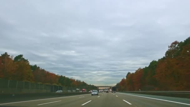 Jízda na klikaté silnici mezi krásným podzimním lesem ve Frankfurtu, Německo — Stock video