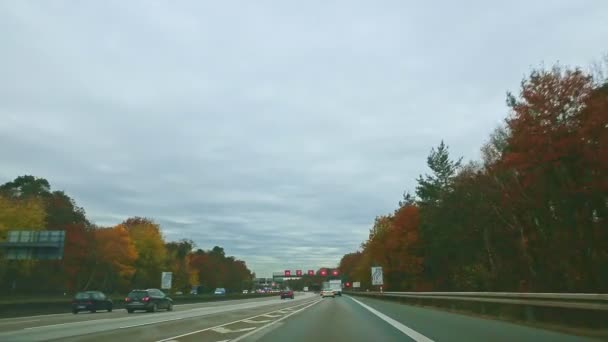 在德国法兰克福美丽的秋天森林间蜿蜒曲折的公路上开车 — 图库视频影像