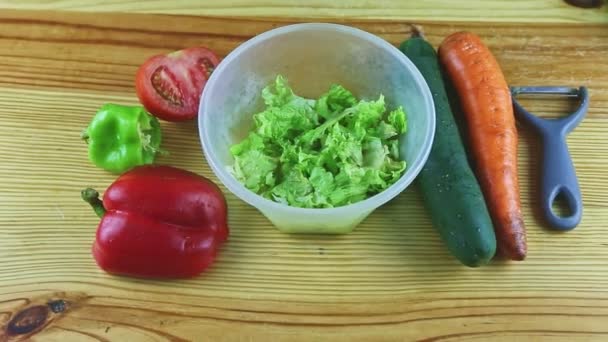 Vue du dessus au bol en plastique avec salade hachée sur la table servie avec des légumes frais — Video