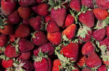 Piyasada Olgun kırmızı çilek, arka plan. Bahçede yararlı meyveler, evde büyüyen.