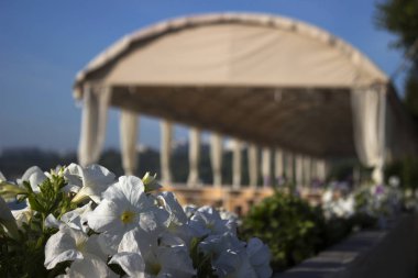 Güneşli havalarda deniz kenarında bir açık hava restoranı. Yaz aylarında rahatlamak. Harika bir manzara