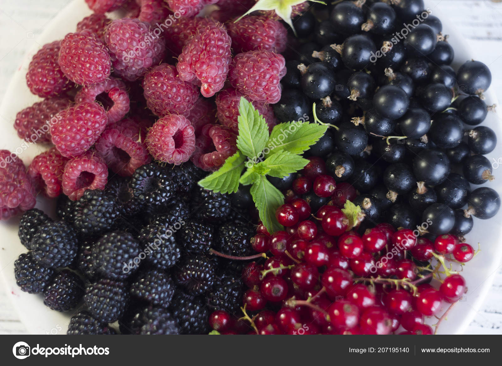 What is useful for currants What is useful for currants