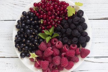 Kırmızı ve siyah kuş üzümü ve ahududu ve nane, yararlı olgun çilek bir tabakta ahşap arka plan beyaz