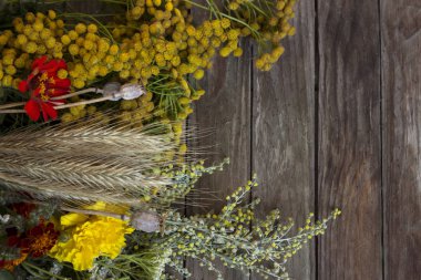 Geleneksel çiçek Ortodoks Hıristiyan tatil - tatlım kaplıcalar 14 Ağustos. Tıbbi Pelin, çavdar, haşhaş, solucan otu, marigolds ve diğer bitkiler