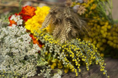 Geleneksel çiçek Ortodoks Hıristiyan tatil - tatlım kaplıcalar 14 Ağustos. Tıbbi Pelin, çavdar, haşhaş, solucan otu, marigolds ve diğer bitki