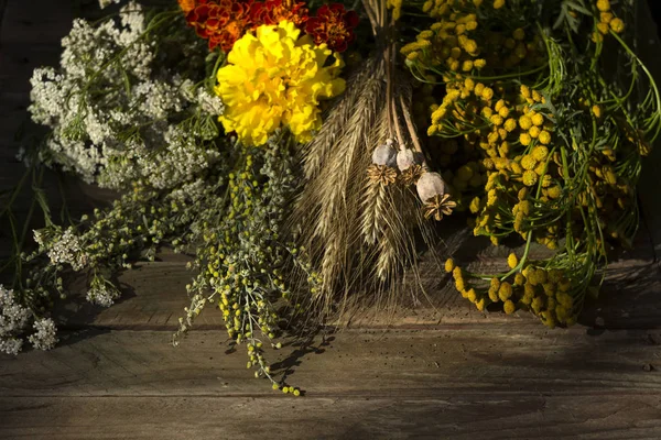 Традиционные Цветы Православному Христианскому Празднику Honey Spas Августа Лекарственные Полыни — стоковое фото