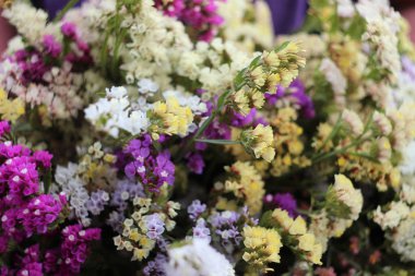 Kermek (limonium) sarı, pembe ve mavi çiçek açan çiçekler, arka plan