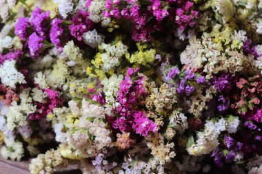 Kermek (limonium) sarı, pembe ve mavi çiçek açan çiçekler, arka plan