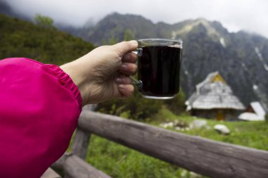 Cam bardak ile bir el Dağları kar ve ahşap ev ile bir arka plan üzerinde mulled şarap
