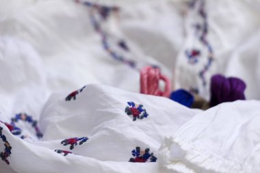 Ukraynalı tarzı, özel konu için nakış işlemeli kadın gömlek