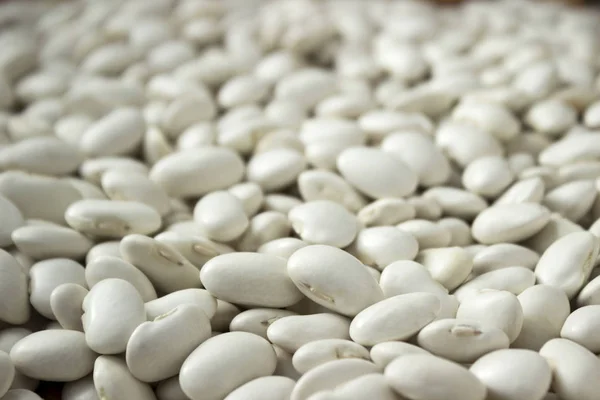 白い大きな豆 背景がたくさん 便利なマメ科植物 — ストック写真