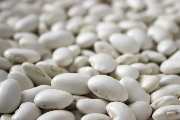 Lots White Large Beans Background Useful Legumes — Stock Photo, Image