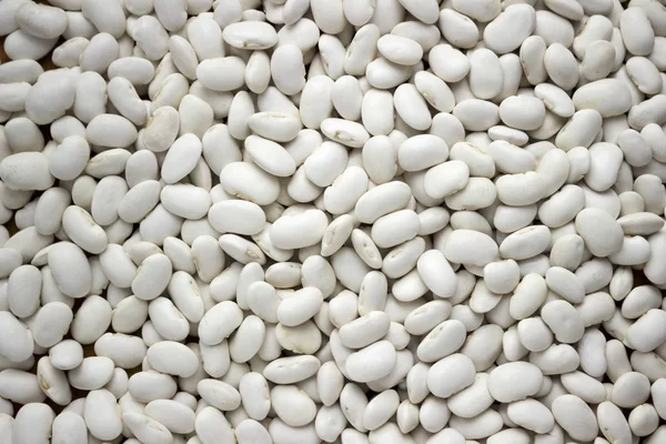 Lots White Large Beans Top View Background Legumes — Stock Photo, Image