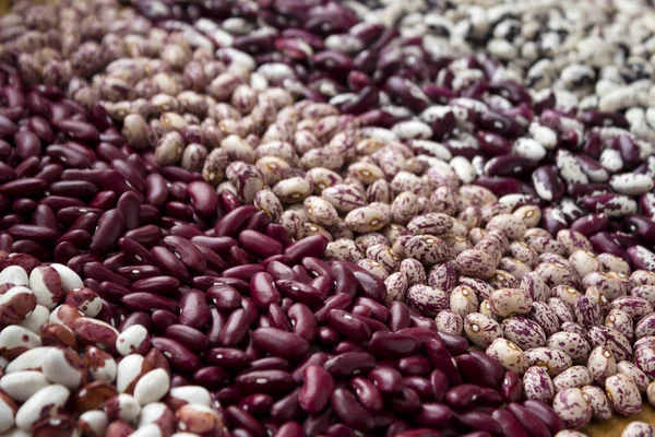 Diferentes Tipos Frijoles Riñón Frijoles Variegados Anasazi Fondo Leguminosas Rojas —  Fotos de Stock