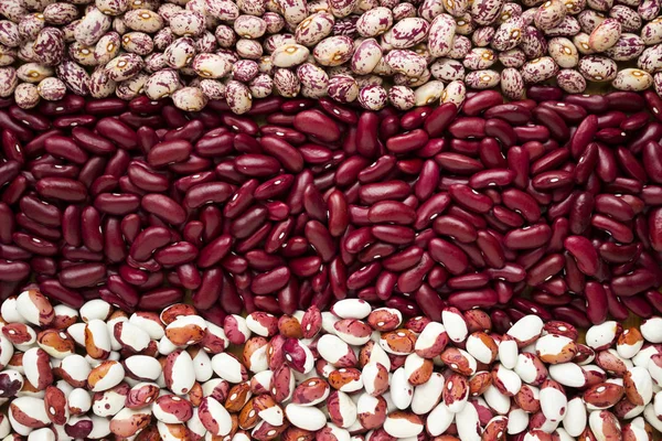 Different Types Beans Kidney Variegated Beans Anasazi Background Leguminous — Stock Photo, Image