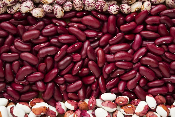 Different Types Beans Kidney Variegated Beans Anasazi Background Leguminous — Stock Photo, Image