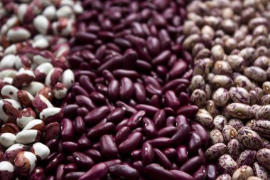 Fasulye - böbrek, alacalı fasulye, anasazi, arka plan farklı türleri. Baklagiller, kırmızı, beyaz, bej ve siyah fasulye