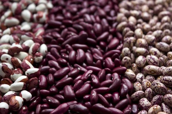 異なったタイプの豆 多彩な豆 アナサジ マメ科 ベージュ 黒の豆 — ストック写真