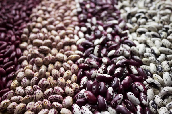 Différents Types Haricots Rein Haricots Panachés Anasazi Fond Légumineuses Rouges — Photo