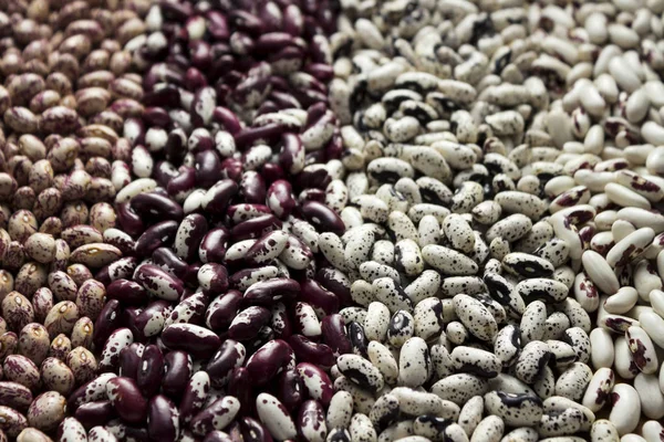 Diferentes Tipos Frijoles Riñón Frijoles Variegados Anasazi Fondo Leguminosas Rojas —  Fotos de Stock