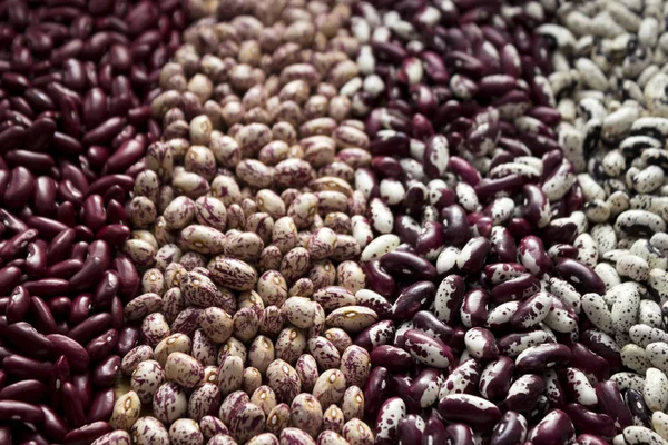 異なったタイプの豆 多彩な豆 アナサジ マメ科 ベージュ 黒の豆 — ストック写真