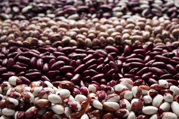 Diferentes Tipos Frijoles Riñón Frijoles Variegados Anasazi Fondo Leguminosas Rojas — Foto de Stock