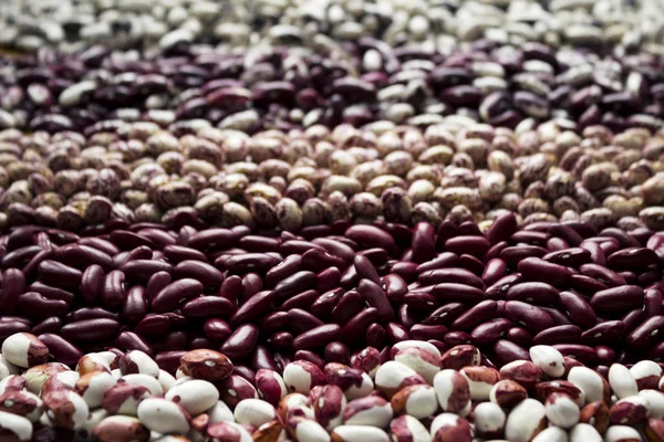 Different Types Beans Kidney Variegated Beans Anasazi Background Leguminous Red — Stock Photo, Image