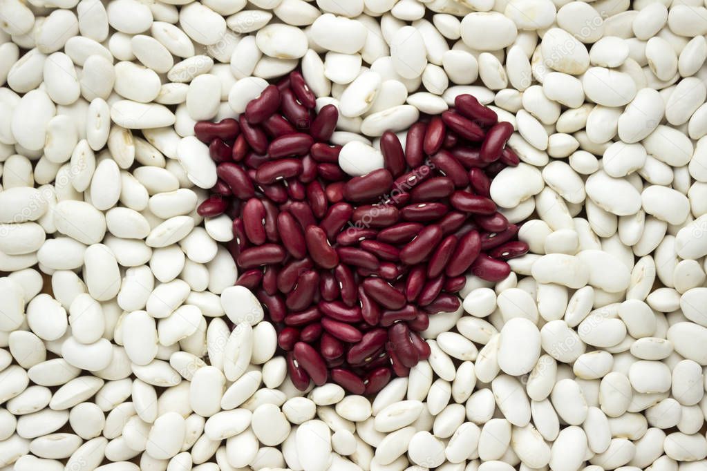 Red kidney beans in the form of a heart on a background of white large beans, background