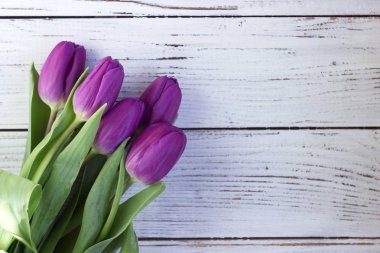 Plastik ambalaj üzerinde beyaz bir ahşap backgro koyu Lila laleler