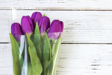 Plastik ambalaj üzerinde beyaz bir ahşap backgro koyu Lila laleler