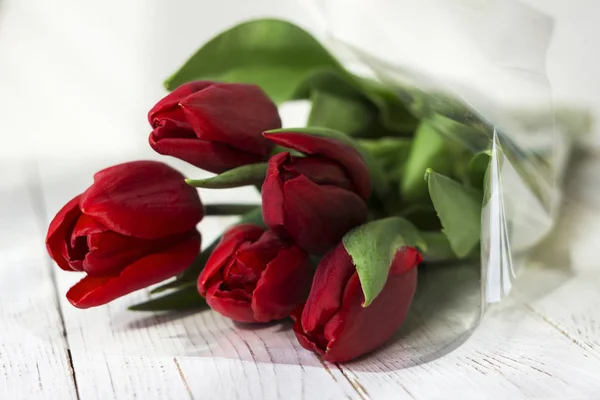 Red tulips in plastic packaging on white wooden background, beau