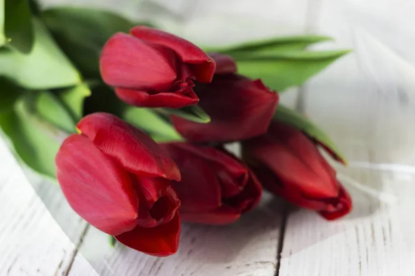 Red tulips in plastic packaging on white wooden background, beau